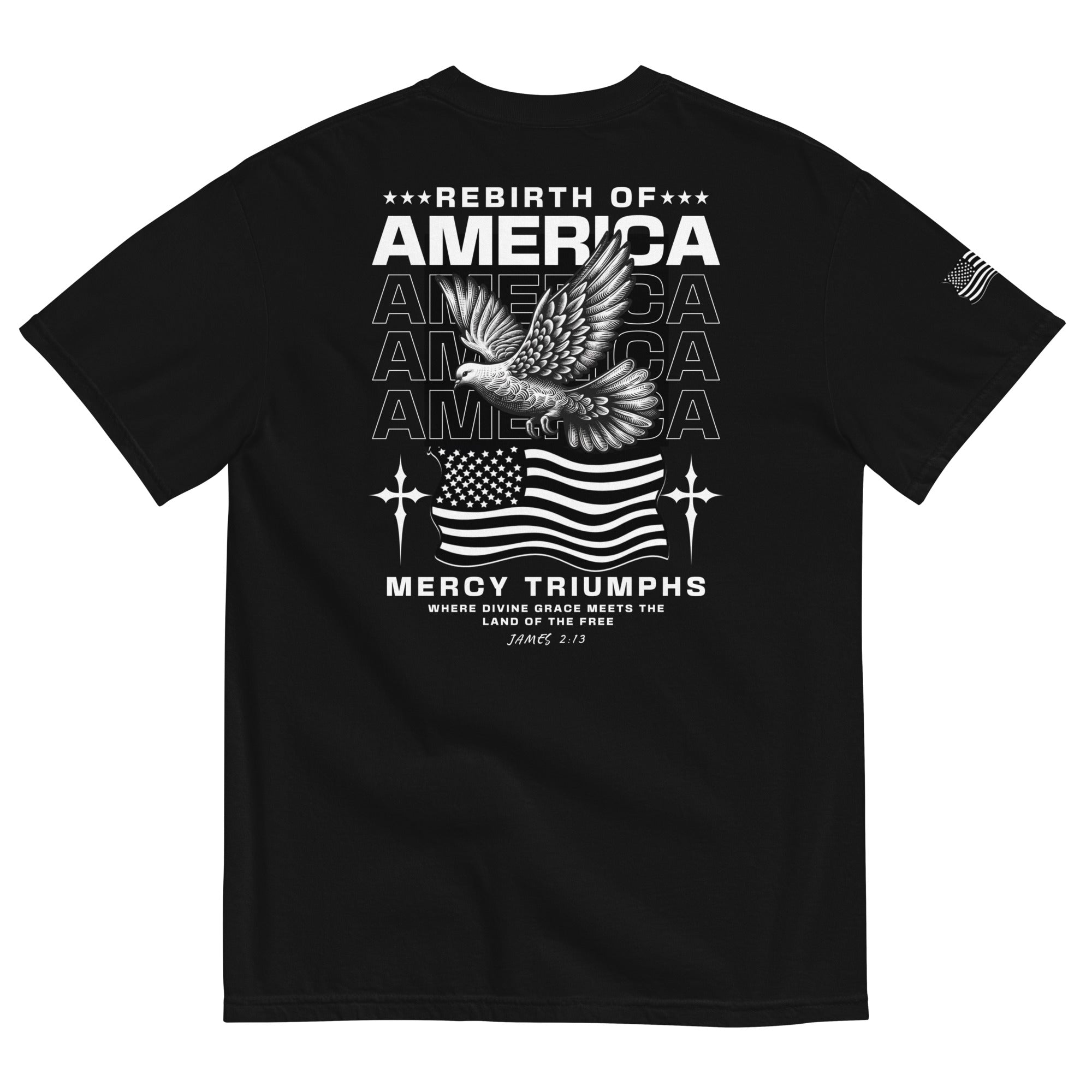 America's Rebirth Garment-dyed Heavyweight T-shirt